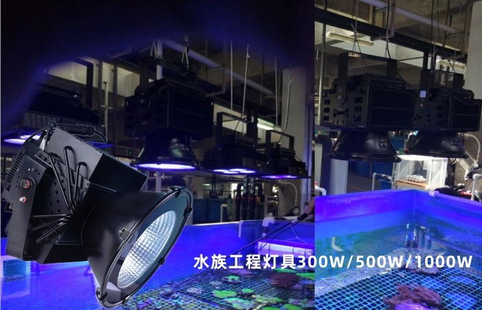 隆语系列水族工程灯