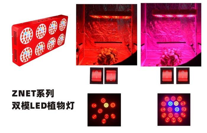 ZNET系列阿波罗LED植物生长灯